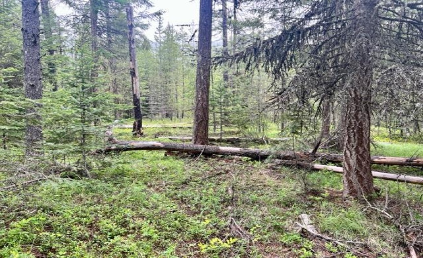 Lot A WENGER ROAD, Arrow Creek, British Columbia V0B1G9, ,Vacant Land,For Sale,WENGER ROAD,2471005