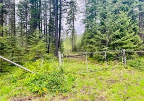 Lot A WENGER ROAD, Arrow Creek, British Columbia V0B1G9, ,Vacant Land,For Sale,WENGER ROAD,2471005