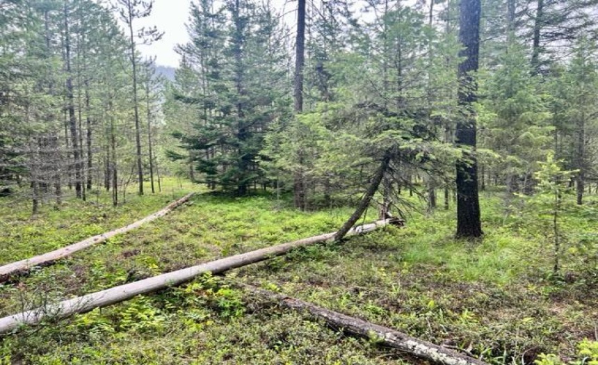 Lot A WENGER ROAD, Arrow Creek, British Columbia V0B1G9, ,Vacant Land,For Sale,WENGER ROAD,2471005