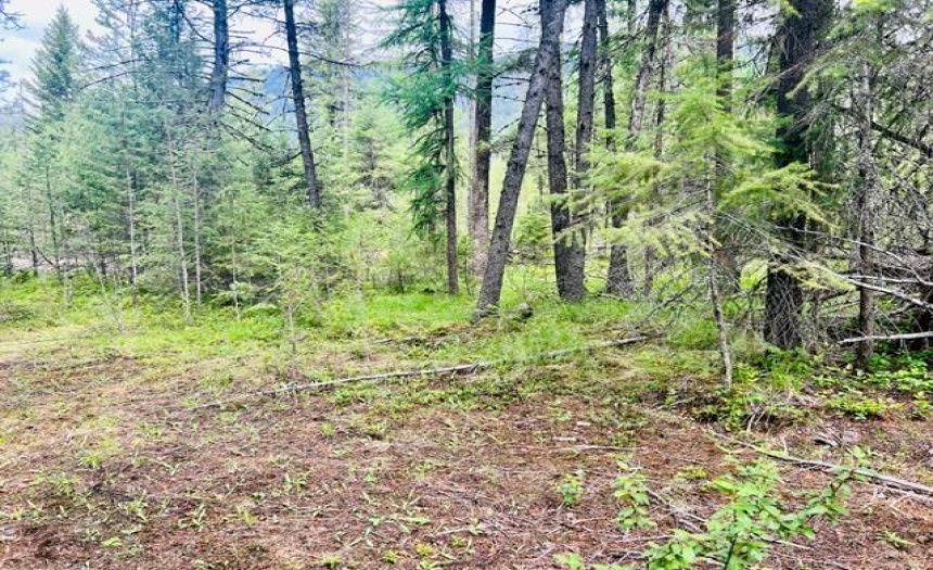 Lot A WENGER ROAD, Arrow Creek, British Columbia V0B1G9, ,Vacant Land,For Sale,WENGER ROAD,2471005