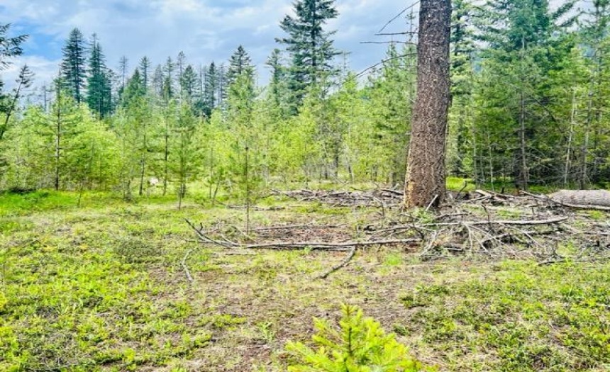 Lot A WENGER ROAD, Arrow Creek, British Columbia V0B1G9, ,Vacant Land,For Sale,WENGER ROAD,2471005