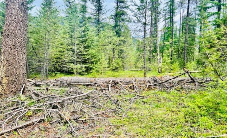 Lot A WENGER ROAD, Arrow Creek, British Columbia V0B1G9, ,Vacant Land,For Sale,WENGER ROAD,2471005