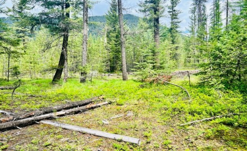 Lot A WENGER ROAD, Arrow Creek, British Columbia V0B1G9, ,Vacant Land,For Sale,WENGER ROAD,2471005