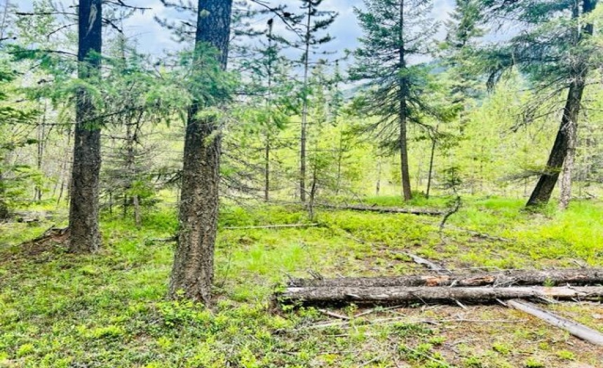 Lot A WENGER ROAD, Arrow Creek, British Columbia V0B1G9, ,Vacant Land,For Sale,WENGER ROAD,2471005