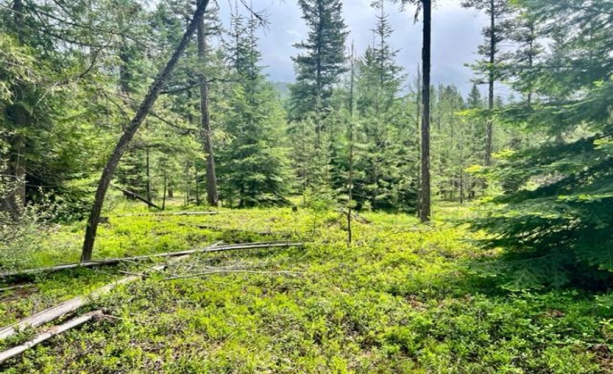 Lot B WENGER ROAD, Arrow Creek, British Columbia V0B1G9, ,Vacant Land,For Sale,WENGER ROAD,2471007