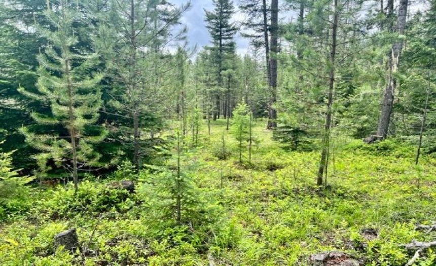 Lot B WENGER ROAD, Arrow Creek, British Columbia V0B1G9, ,Vacant Land,For Sale,WENGER ROAD,2471007