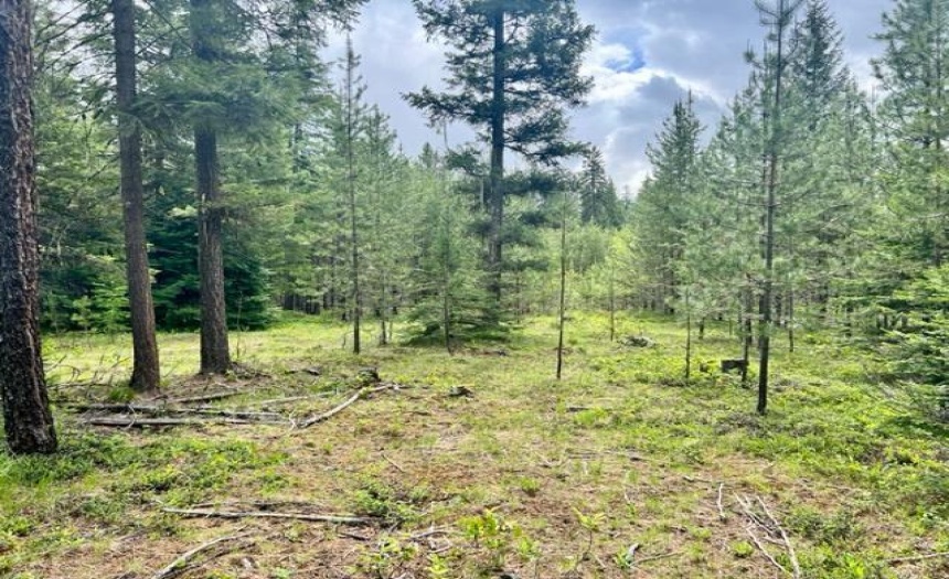 Lot B WENGER ROAD, Arrow Creek, British Columbia V0B1G9, ,Vacant Land,For Sale,WENGER ROAD,2471007