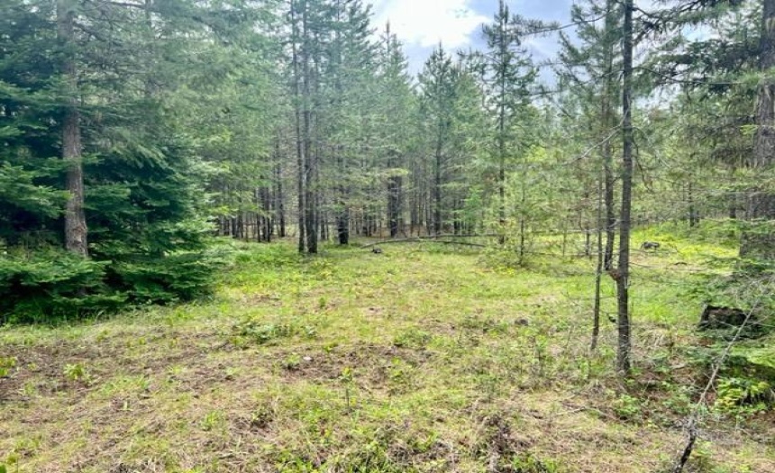 Lot B WENGER ROAD, Arrow Creek, British Columbia V0B1G9, ,Vacant Land,For Sale,WENGER ROAD,2471007