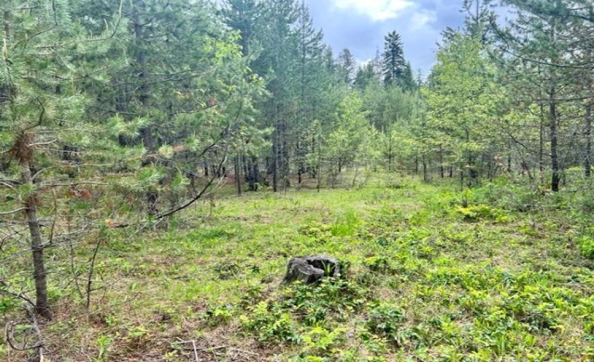 Lot B WENGER ROAD, Arrow Creek, British Columbia V0B1G9, ,Vacant Land,For Sale,WENGER ROAD,2471007