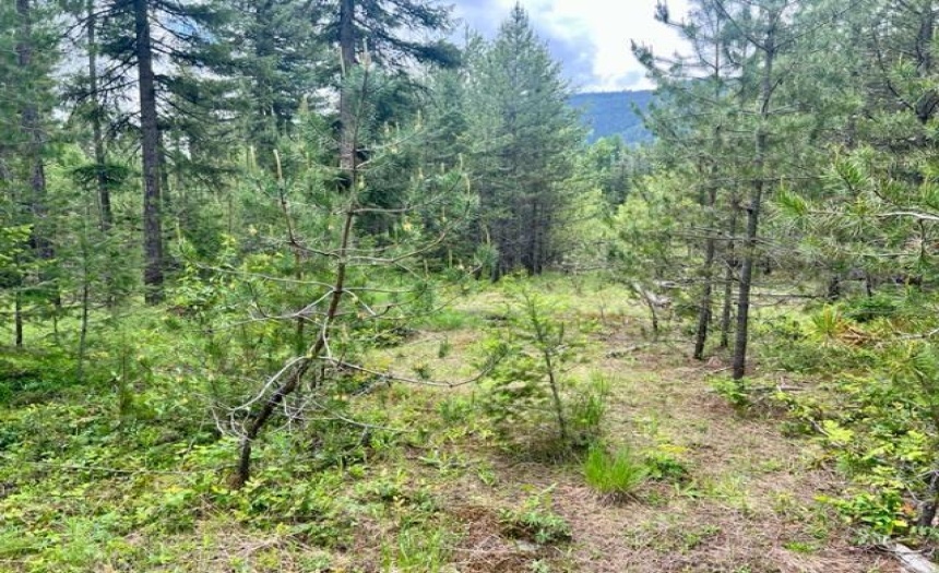 Lot B WENGER ROAD, Arrow Creek, British Columbia V0B1G9, ,Vacant Land,For Sale,WENGER ROAD,2471007