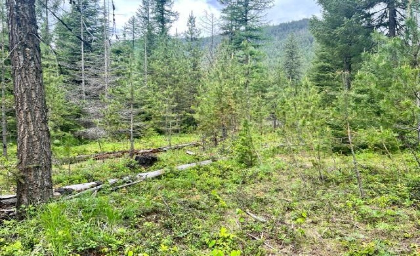 Lot B WENGER ROAD, Arrow Creek, British Columbia V0B1G9, ,Vacant Land,For Sale,WENGER ROAD,2471007