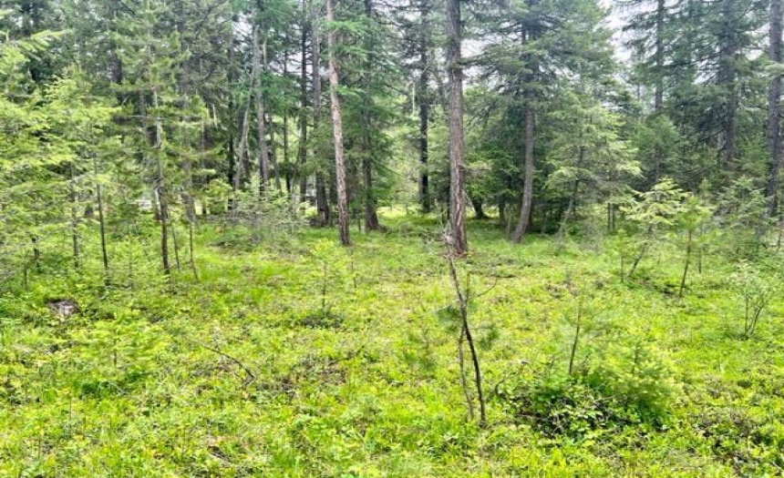 Lot B WENGER ROAD, Arrow Creek, British Columbia V0B1G9, ,Vacant Land,For Sale,WENGER ROAD,2471007