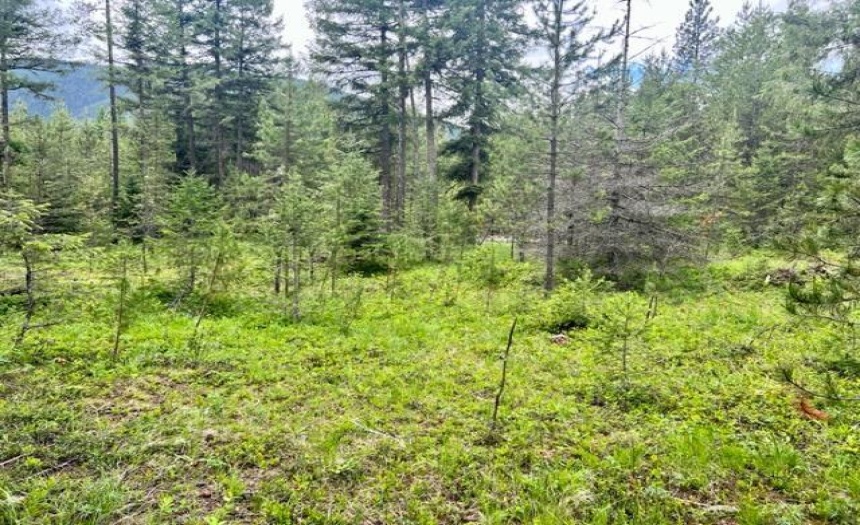 Lot B WENGER ROAD, Arrow Creek, British Columbia V0B1G9, ,Vacant Land,For Sale,WENGER ROAD,2471007