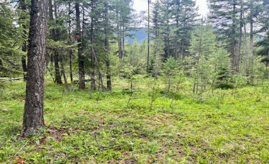 Lot B WENGER ROAD, Arrow Creek, British Columbia V0B1G9, ,Vacant Land,For Sale,WENGER ROAD,2471007