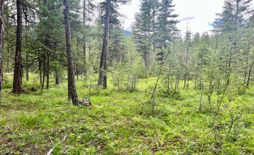 Lot B WENGER ROAD, Arrow Creek, British Columbia V0B1G9, ,Vacant Land,For Sale,WENGER ROAD,2471007