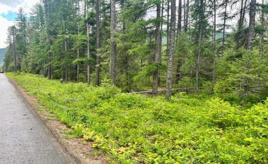 Lot B WENGER ROAD, Arrow Creek, British Columbia V0B1G9, ,Vacant Land,For Sale,WENGER ROAD,2471007