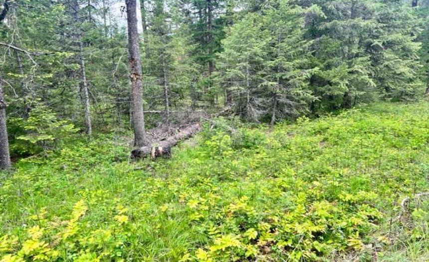 Lot B WENGER ROAD, Arrow Creek, British Columbia V0B1G9, ,Vacant Land,For Sale,WENGER ROAD,2471007