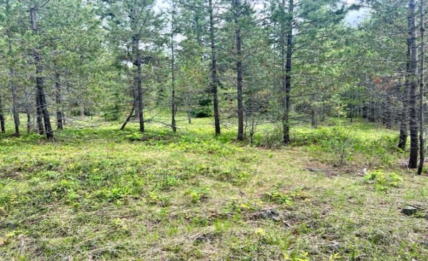 Lot B WENGER ROAD, Arrow Creek, British Columbia V0B1G9, ,Vacant Land,For Sale,WENGER ROAD,2471007