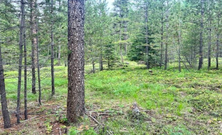 Lot B WENGER ROAD, Arrow Creek, British Columbia V0B1G9, ,Vacant Land,For Sale,WENGER ROAD,2471007