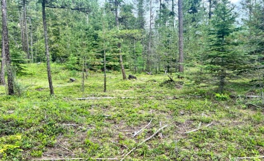 Lot B WENGER ROAD, Arrow Creek, British Columbia V0B1G9, ,Vacant Land,For Sale,WENGER ROAD,2471007