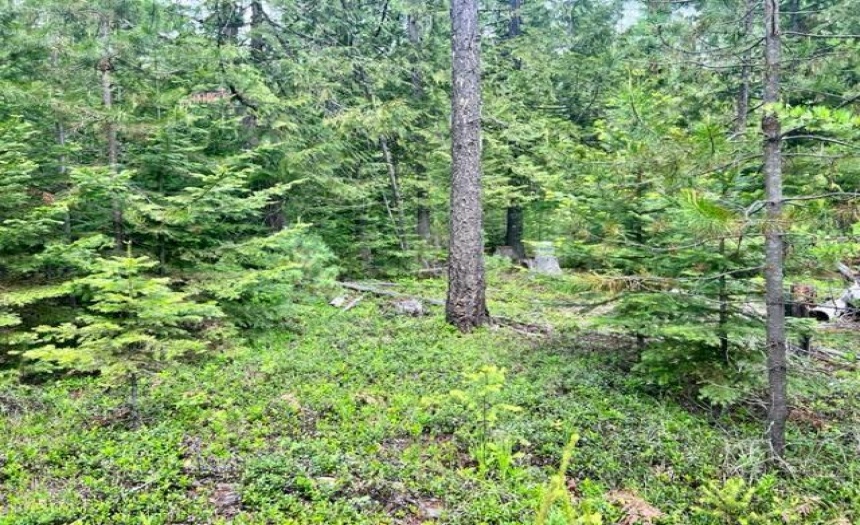 Lot B WENGER ROAD, Arrow Creek, British Columbia V0B1G9, ,Vacant Land,For Sale,WENGER ROAD,2471007