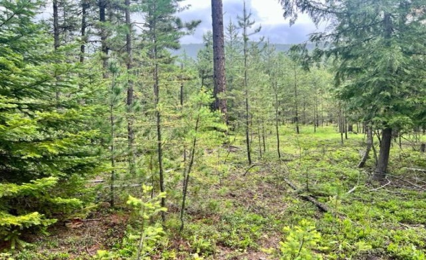 Lot B WENGER ROAD, Arrow Creek, British Columbia V0B1G9, ,Vacant Land,For Sale,WENGER ROAD,2471007