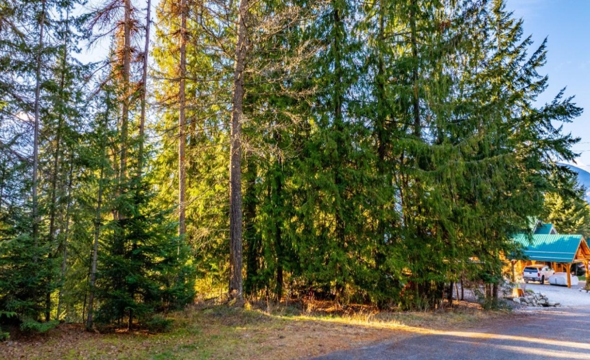 13588 MOUNTAIN SHORES ROAD N, Creston, British Columbia V0B1A0, ,Vacant Land,For Sale,MOUNTAIN SHORES ROAD N,2474419