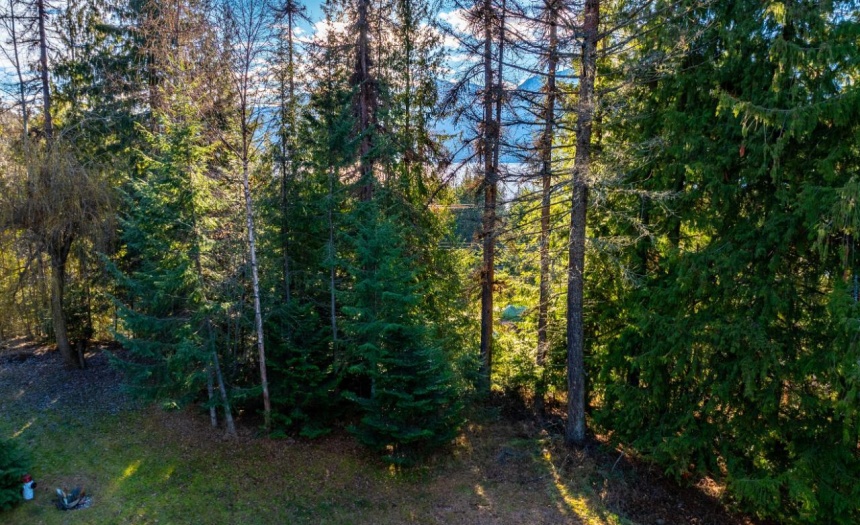 13588 MOUNTAIN SHORES ROAD N, Creston, British Columbia V0B1A0, ,Vacant Land,For Sale,MOUNTAIN SHORES ROAD N,2474419