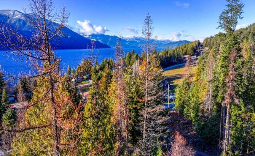 13588 MOUNTAIN SHORES ROAD N, Creston, British Columbia V0B1A0, ,Vacant Land,For Sale,MOUNTAIN SHORES ROAD N,2474419