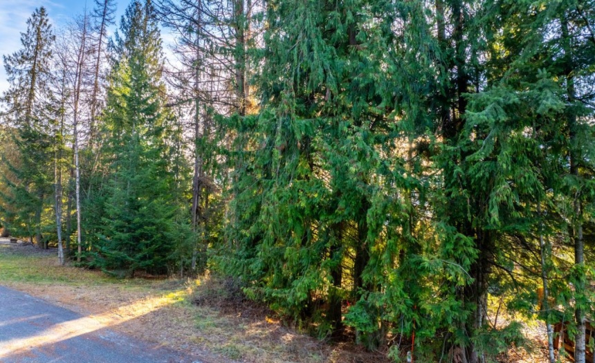 13588 MOUNTAIN SHORES ROAD N, Creston, British Columbia V0B1A0, ,Vacant Land,For Sale,MOUNTAIN SHORES ROAD N,2474419