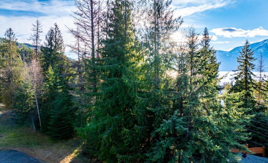 13588 MOUNTAIN SHORES ROAD N, Creston, British Columbia V0B1A0, ,Vacant Land,For Sale,MOUNTAIN SHORES ROAD N,2474419