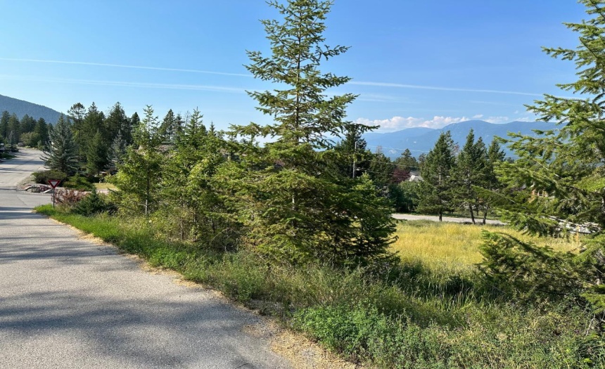 Lot 30 MOUNTAIN TOP DRIVE, Fairmont Hot Springs, British Columbia V0B1L0, ,Vacant Land,For Sale,MOUNTAIN TOP DRIVE,2474428