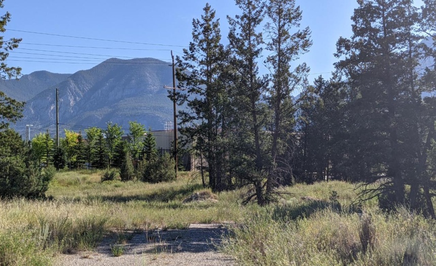 Lot 3 LAKEVIEW DRIVE, Windermere, British Columbia V0A1K2, ,Vacant Land,For Sale,LAKEVIEW DRIVE,2461999