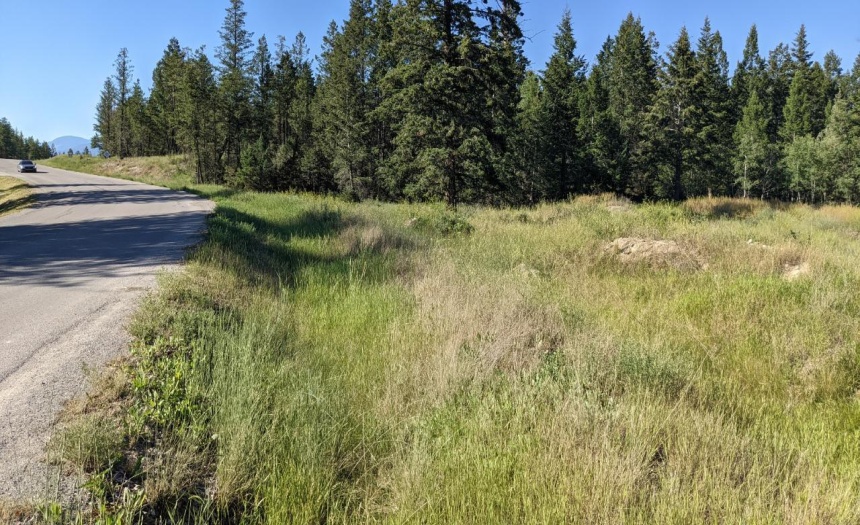 Lot 3 LAKEVIEW DRIVE, Windermere, British Columbia V0A1K2, ,Vacant Land,For Sale,LAKEVIEW DRIVE,2461999