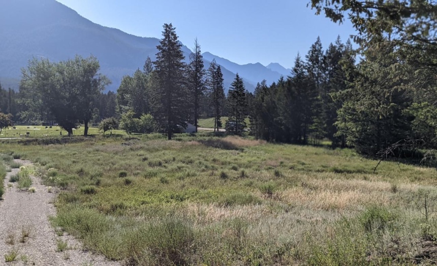 Lot 3 LAKEVIEW DRIVE, Windermere, British Columbia V0A1K2, ,Vacant Land,For Sale,LAKEVIEW DRIVE,2461999