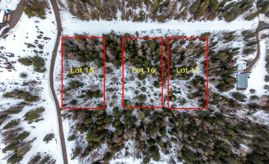 Lot 15-17 STEWART AVENUE, Fernie, British Columbia V0B1M1, ,Vacant Land,For Sale,STEWART AVENUE,2463625