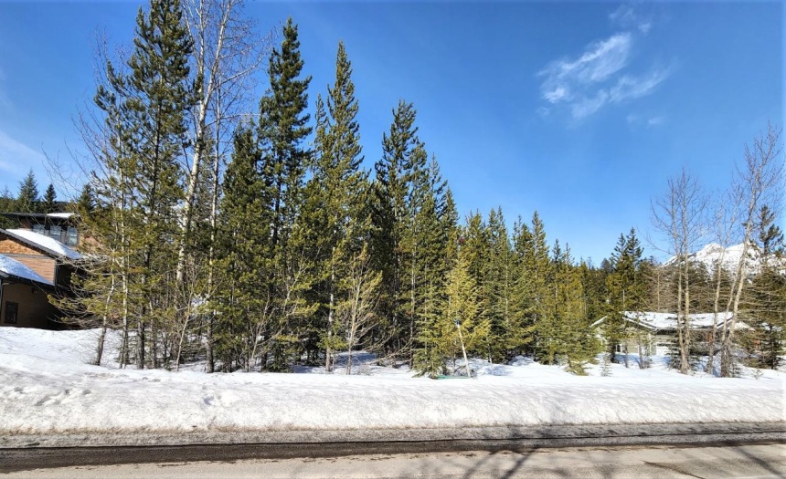 105 DEERBORNE DRIVE, Elkford, British Columbia V0B1H0, ,Vacant Land,For Sale,DEERBORNE DRIVE,2463673