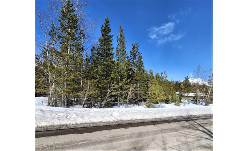 105 DEERBORNE DRIVE, Elkford, British Columbia V0B1H0, ,Vacant Land,For Sale,DEERBORNE DRIVE,2463673