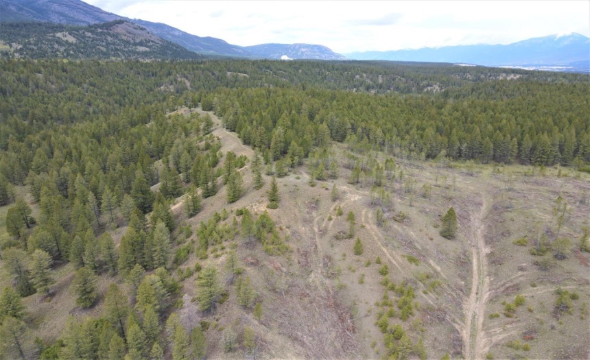 Lot 1 HARDIE CREEK ROAD, Columbia Lake, British Columbia V0B1L0, ,Vacant Land,For Sale,HARDIE CREEK ROAD,2465093