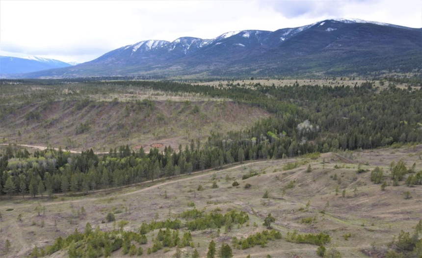 Lot 1 HARDIE CREEK ROAD, Columbia Lake, British Columbia V0B1L0, ,Vacant Land,For Sale,HARDIE CREEK ROAD,2465093