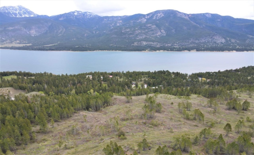 Lot 1 HARDIE CREEK ROAD, Columbia Lake, British Columbia V0B1L0, ,Vacant Land,For Sale,HARDIE CREEK ROAD,2465093