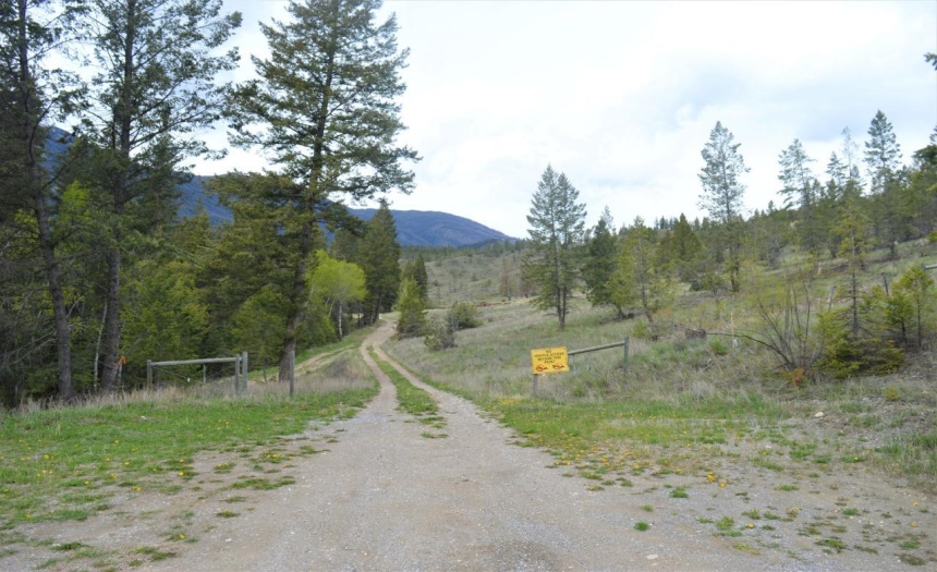 Lot 1 HARDIE CREEK ROAD, Columbia Lake, British Columbia V0B1L0, ,Vacant Land,For Sale,HARDIE CREEK ROAD,2465093