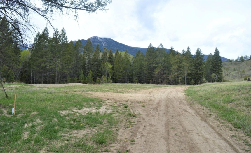 Lot 1 HARDIE CREEK ROAD, Columbia Lake, British Columbia V0B1L0, ,Vacant Land,For Sale,HARDIE CREEK ROAD,2465093