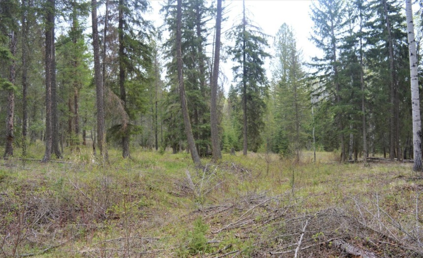 Lot 1 HARDIE CREEK ROAD, Columbia Lake, British Columbia V0B1L0, ,Vacant Land,For Sale,HARDIE CREEK ROAD,2465093