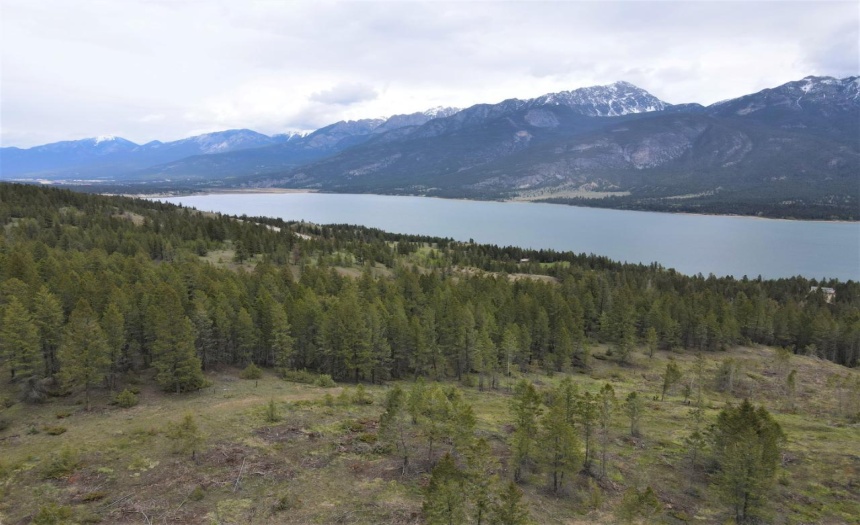 Lot 1 HARDIE CREEK ROAD, Columbia Lake, British Columbia V0B1L0, ,Vacant Land,For Sale,HARDIE CREEK ROAD,2465093