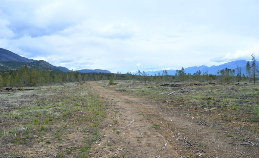 Lot 1 HARDIE CREEK ROAD, Columbia Lake, British Columbia V0B1L0, ,Vacant Land,For Sale,HARDIE CREEK ROAD,2465093