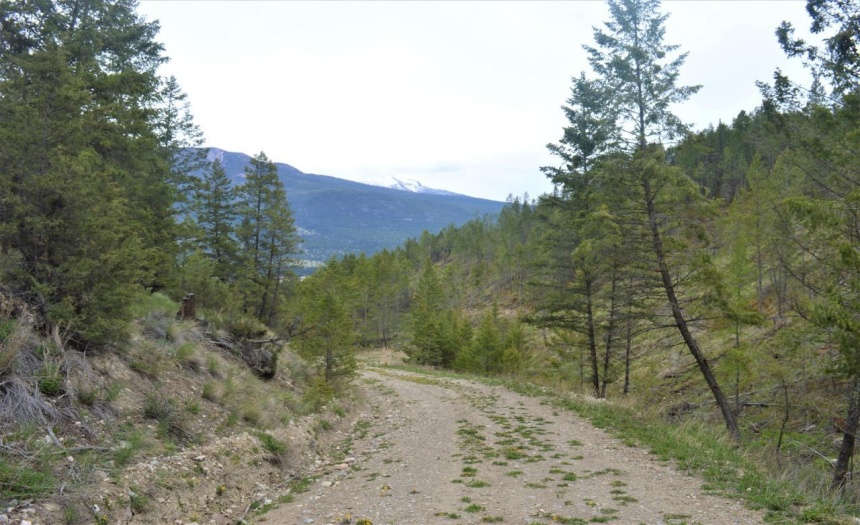 Lot 1 HARDIE CREEK ROAD, Columbia Lake, British Columbia V0B1L0, ,Vacant Land,For Sale,HARDIE CREEK ROAD,2465093