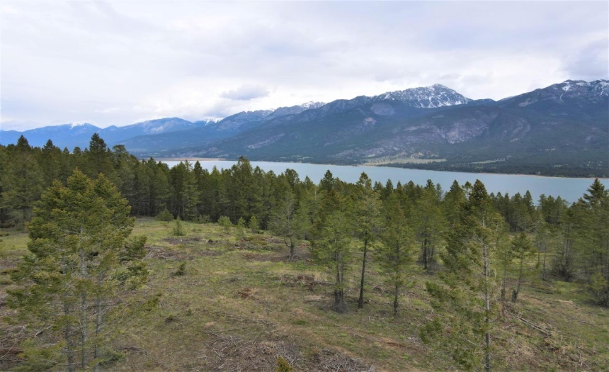 Lot 1 HARDIE CREEK ROAD, Columbia Lake, British Columbia V0B1L0, ,Vacant Land,For Sale,HARDIE CREEK ROAD,2465093