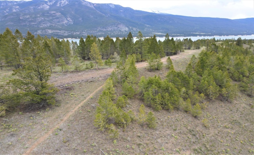 Lot 1 HARDIE CREEK ROAD, Columbia Lake, British Columbia V0B1L0, ,Vacant Land,For Sale,HARDIE CREEK ROAD,2465093