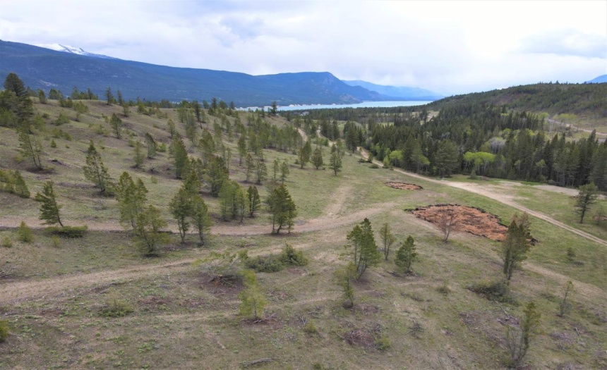 Lot 1 HARDIE CREEK ROAD, Columbia Lake, British Columbia V0B1L0, ,Vacant Land,For Sale,HARDIE CREEK ROAD,2465093